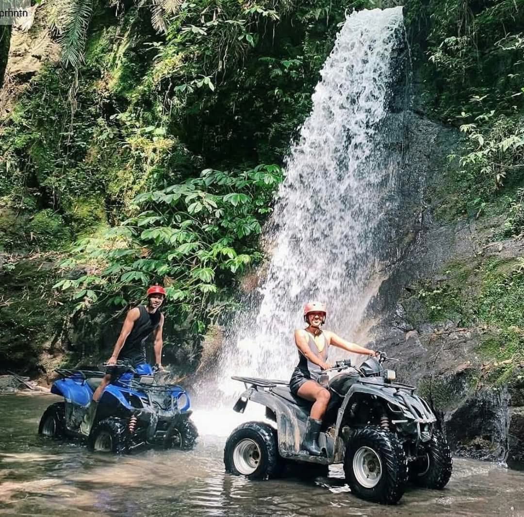 High-Octane ATV Quad Adventure